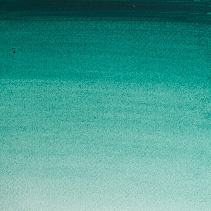 Winsor & Newton Aquarellfarbe ProfessionalViridian, ½ Näpfchen Detail Shot