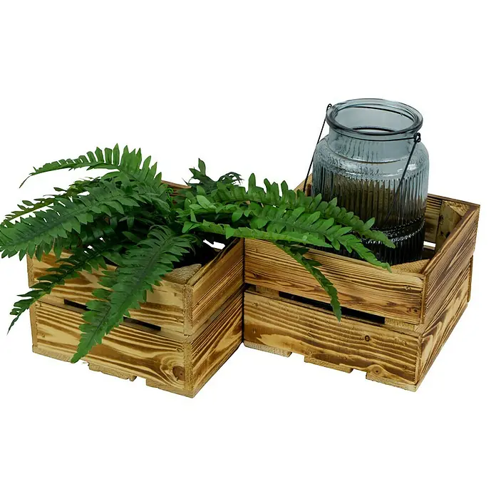 Holzkiste Lotta - L x B x H: 22 x 22 x 15 cm, Braun - Zwei Holzkisten mit einem grünen Farn und einem dekorativen Glaswindlicht, ideal für eine gemütliche Atmosphäre.