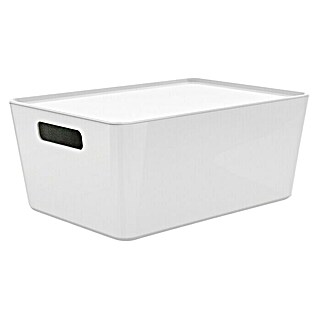 Regalux Aufbewahrungsbox R-Box (L x B x H: 33 x 24 x 14 cm, Kunststoff, Weiß)