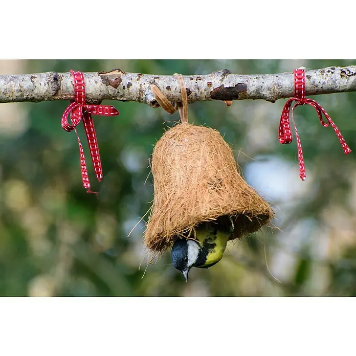 Dobar Wildvogelfutter Set - 8 Stk., Mit Insekten - Ein Meisenknödelhalter in Glockenform hängt an einem Ast, geschmückt mit roten Schleifen, während eine Blaumeise darin frisst.