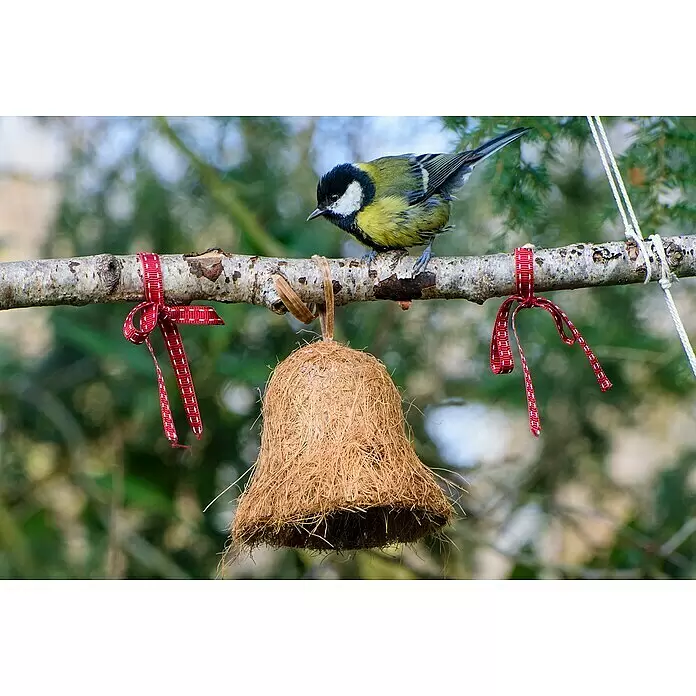 Dobar Wildvogelfutter Set - 8 Stk., Mit Insekten - Glockenförmiges Vogelfutterhaus aus Naturfasern an einem Ast hängend, mit einem Vogel daneben.