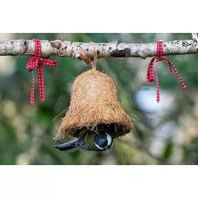 Dobar Wildvogelfutter Set - 8 Stk., Mit Insekten - Ein glockenförmiges Vogelfutterhaus aus Naturfasern, an einem mit roten Bändern geschmückten Ast hängend, von einer Kohlmeise genutzt.