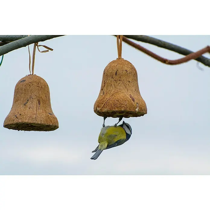 Dobar Wildvogelfutter Set - 8 Stk., Mit Insekten - Ein Blaumeisen-Vogelfutterhaus in Glockenform, aus natürlichen Materialien gefertigt, hängt an einem Ast und bietet Vögeln Nahrung.