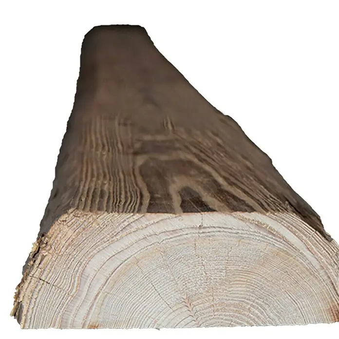 Dekobalken Altholz - Fichte/Tanne, L x S: 250 x 5 cm, Anfallende Breite: 10 cm - 16 cm - Nahaufnahme eines halbierten Baumstamms, der die Jahresringe und die Textur des Holzes zeigt.