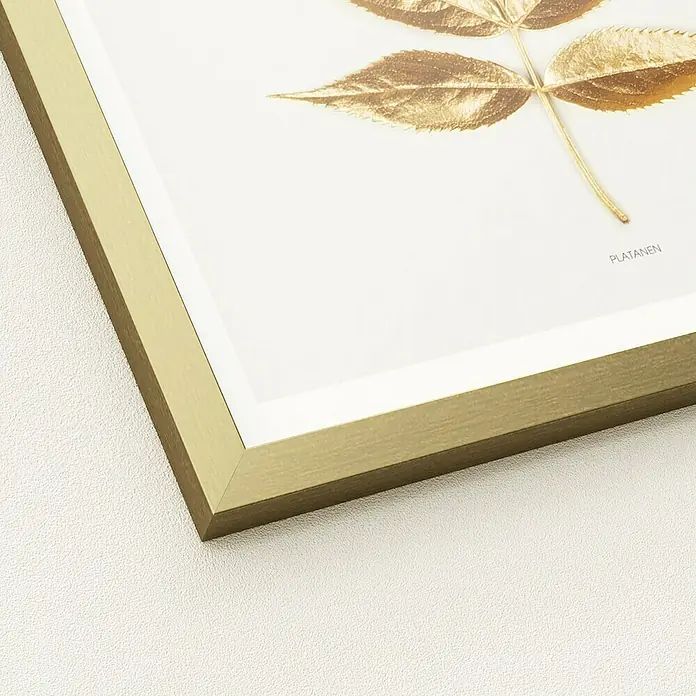 ProArt Bild Slim Scandic - Golden Leaf I, B x H: 33 x 33 cm - Detailaufnahme eines gerahmten Bildes mit goldenen Blättern, das an einer weißen Wand hängt. Der goldene Rahmen setzt einen edlen Akzent.