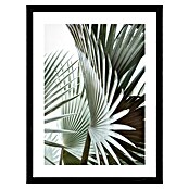 ProArt Slika Slim Scandic  (Leaves III, Š x V: 33 x 43 cm) | 6767 - Gerahmte Bilder | HFDC - Fertigbilder | HFD - Galerie | HF - Galerie | H - Innendeko/Farben | BAUHAUS