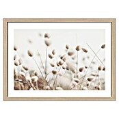 ProArt Slika  (Dried Fiber in the Wind II, Š x V: 53 x 73 cm) | 6767 - Gerahmte Bilder | HFDC - Fertigbilder | HFD - Galerie | HF - Galerie | H - Innendeko/Farben | BAUHAUS