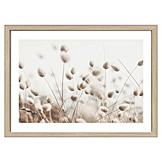 ProArt Slika (Dried Fiber in the Wind II, Š x V: 53 x 73 cm)