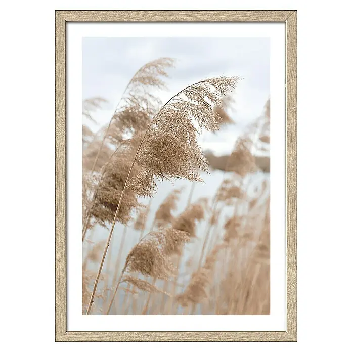 ProArt Bild Slim Scandic - In the Breeze VI, B x H: 33 x 43 cm - Gerahmtes Bild mit Schilfgras im Wind, das eine ruhige, natürliche Atmosphäre in jedem Raum schafft. Elegantes Design für stilvolle Dekoration.