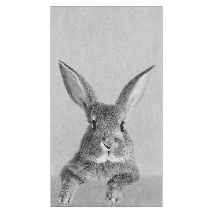 ProArt Type Hype Decopanel - Rabbit, B x H: 15 x 30 cm - Schwarz-Weiß-Aufnahme eines entzückenden Hasen mit langen Ohren, der neugierig in die Kamera schaut.