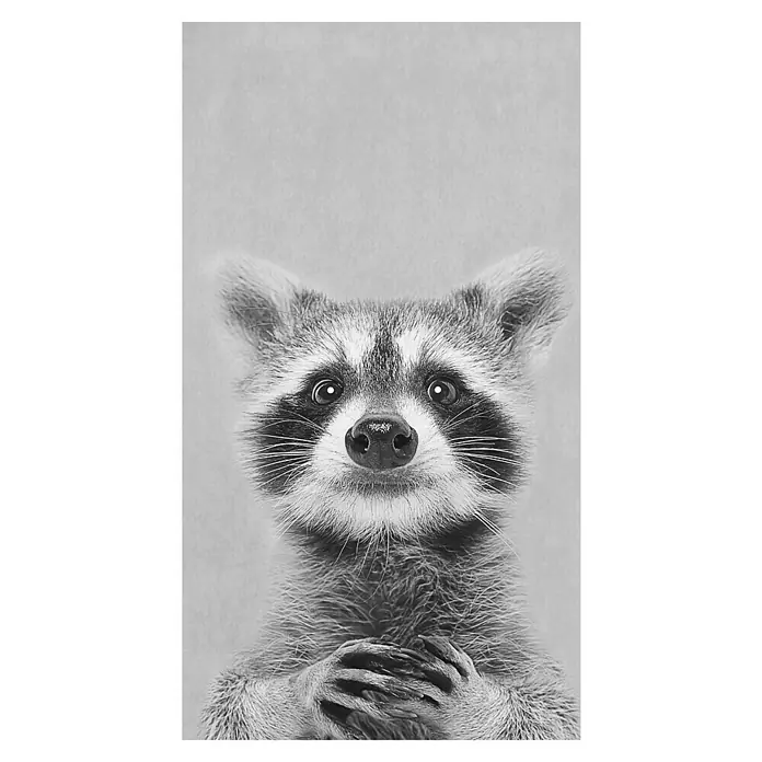 ProArt Type Hype Decopanel - Young Racoon, B x H: 15 x 30 cm - Ein entzückendes Schwarzweiß-Porträt eines Waschbären mit großen Augen und neugierigem Blick. Perfekt für Tierliebhaber!