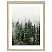 ProArt Slika Slim Scandic  (Foggy Trees II, Š x V: 33 x 43 cm) | 6767 - Gerahmte Bilder | HFDC - Fertigbilder | HFD - Galerie | HF - Galerie | H - Innendeko/Farben | BAUHAUS