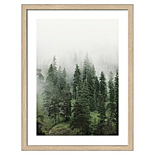 ProArt Slika Slim Scandic (Foggy Trees II, Š x V: 33 x 43 cm)