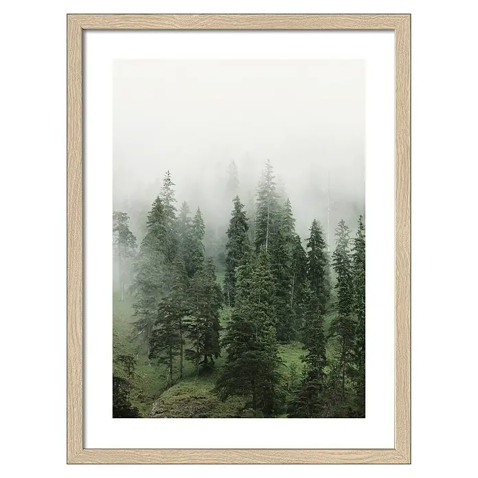 ProArt Bild Slim Scandic - Foggy Trees II, B x H: 33 x 43 cm - Gerahmtes Bild eines dichten Waldes im Nebel, das die ruhige Atmosphäre und die natürliche Schönheit der Landschaft hervorhebt.
