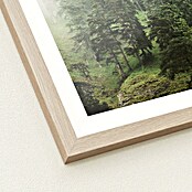 ProArt Slika Slim Scandic  (Foggy Trees II, Š x V: 33 x 43 cm) | 6767 - Gerahmte Bilder | HFDC - Fertigbilder | HFD - Galerie | HF - Galerie | H - Innendeko/Farben | BAUHAUS