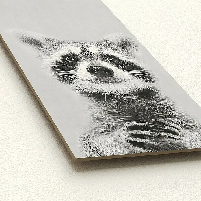 ProArt Type Hype Decopanel - Young Racoon, B x H: 15 x 30 cm - Schwarzes und weißes Wandbild eines Waschbären, der mit gefalteten Händen in die Kamera schaut, für eine süße Note in jedem Raum.