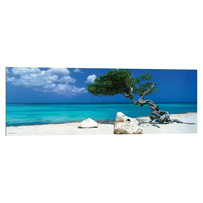 Reinders Decopanel - Divi Divi Tree, B x H: 90 x 30 cm - Eine malerische Ansicht eines Divi-Divi-Baums an einem strahlend weißen Sandstrand mit türkisfarbenem Wasser und blauem Himmel.