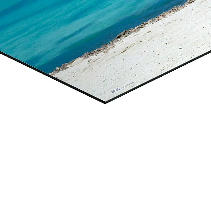 Reinders Decopanel - Divi Divi Tree, B x H: 156 x 52 cm - Nahaufnahme eines Aluminium-Dibond-Drucks mit Strandmotiv, der die Details und die hochwertige Verarbeitung hervorhebt.