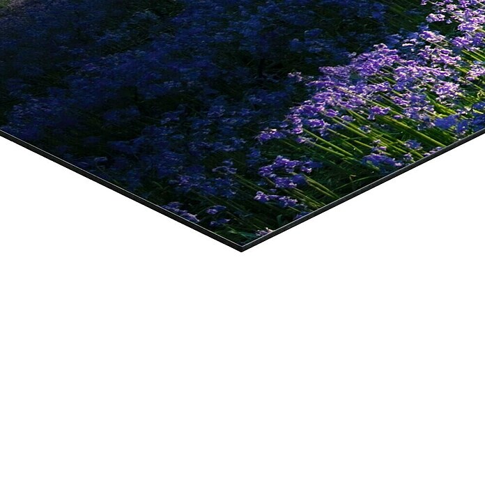 Decoratief paneel (Enchanted Forest, b x h: 156 x 52 cm) | BAUHAUS