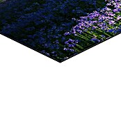 Decoratief paneel (Enchanted Forest, b x h: 156 x 52 cm) | BAUHAUS