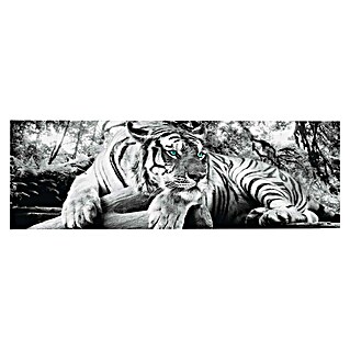 Reinders Decopanel (Tiger is Watching You, B x H: 156 x 52 cm)