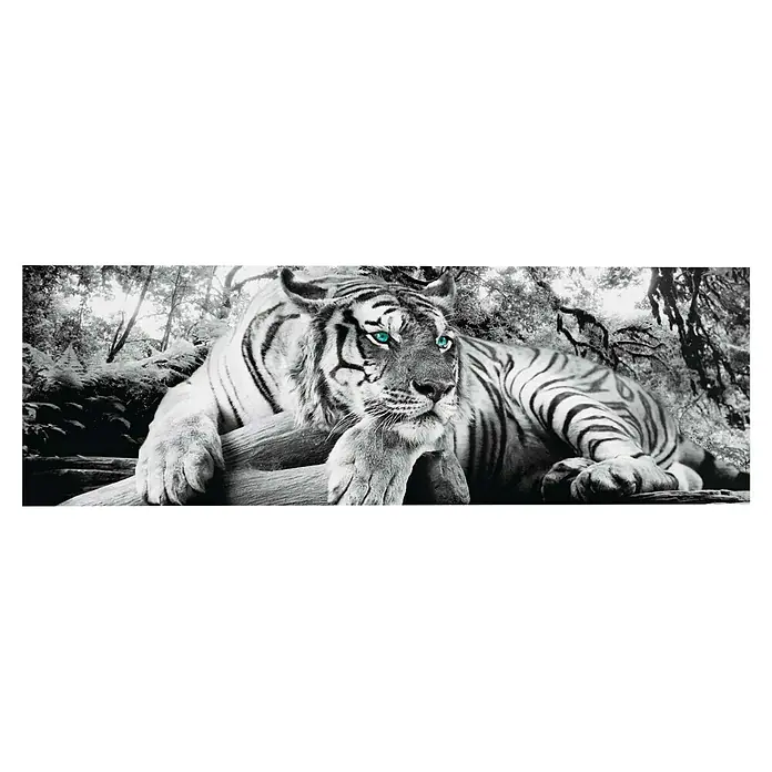 Reinders Decopanel - Tiger is Watching You, B x H: 156 x 52 cm - Schwarz-Weiß-Foto eines Tigers mit leuchtend blauen Augen, der auf einem Baumstamm ruht, die majestätische Aura des Tieres hervorhebt.