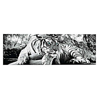 Decopanel (Tiger is Watching You, B x H: 156 x 52 cm)