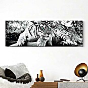 Reinders Decopanel (Tiger is Watching You, B x H: 156 x 52 cm) | BAUHAUS