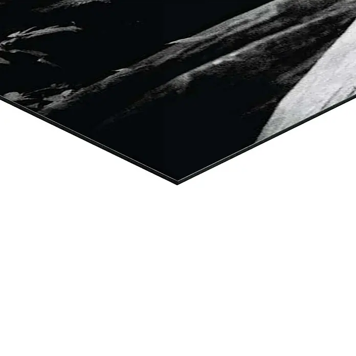 Reinders Decopanel - Tiger is Watching You, B x H: 156 x 52 cm - Schwarzes Wandpaneel mit abstrakten Mustern, ideal für moderne Innenräume. Die glatte Oberfläche reflektiert das Licht subtil.