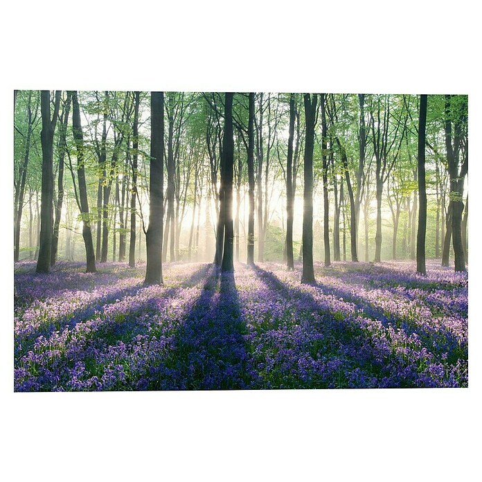 Decoratief paneel (Enchanted Forest, b x h: 90 x 60 cm) | BAUHAUS