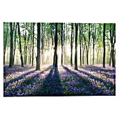 Decoratief paneel (Enchanted Forest, b x h: 90 x 60 cm) | BAUHAUS