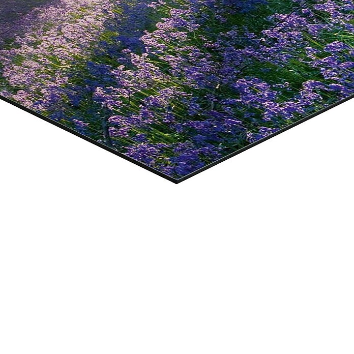 Decoratief paneel (Enchanted Forest, b x h: 90 x 60 cm) | BAUHAUS
