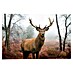 Decoratief paneel 