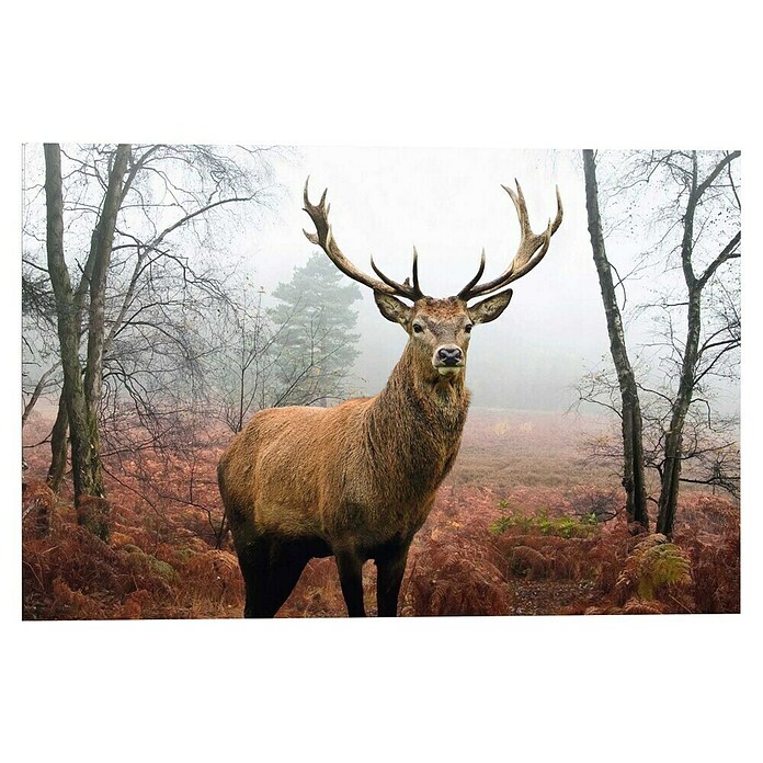 Decoratief paneel (Hert in het bos, b x h: 90 x 60 cm) | BAUHAUS