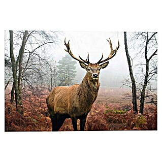 Decoratief paneel (Hert in het bos, b x h: 90 x 60 cm)