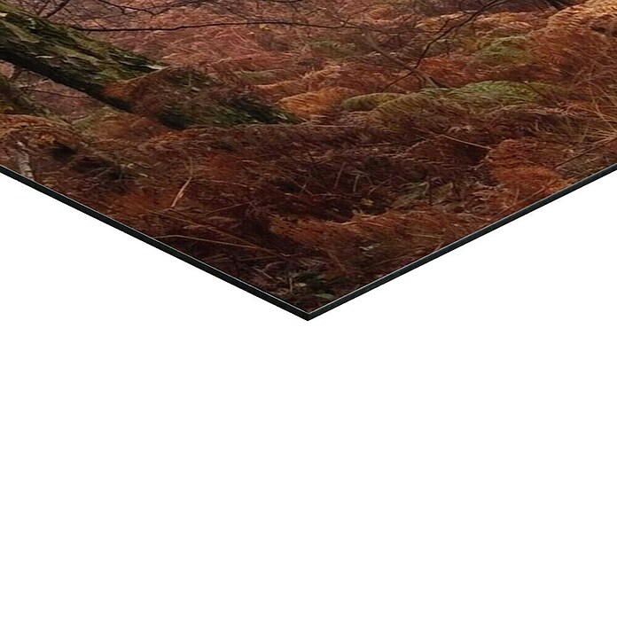 Decoratief paneel (Hert in het bos, b x h: 90 x 60 cm) | BAUHAUS