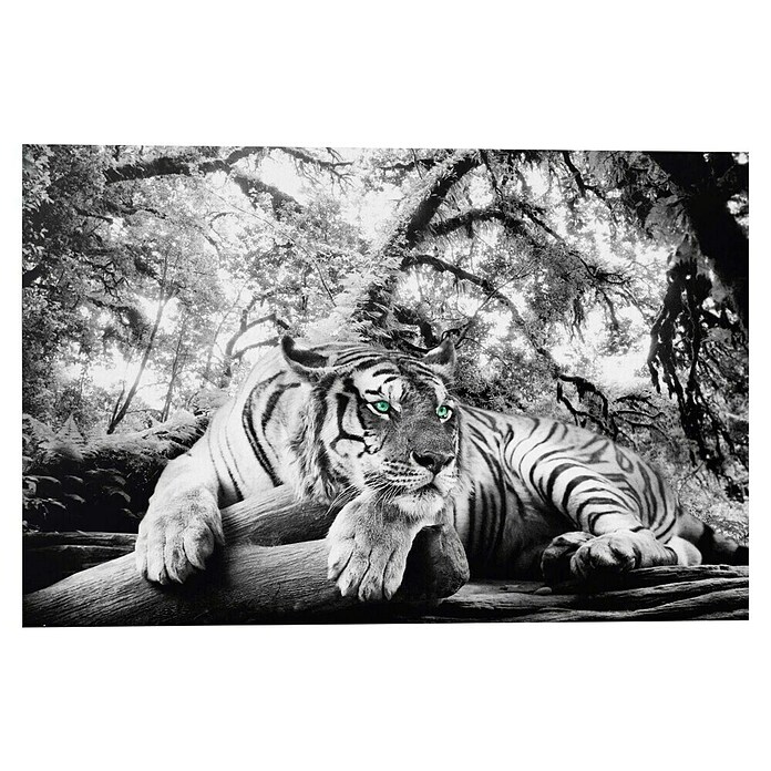Decoratief paneel (Tiger is Watching You, b x h: 90 x 60 cm) | BAUHAUS