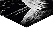 Decoratief paneel (Tiger is Watching You, b x h: 90 x 60 cm) | BAUHAUS
