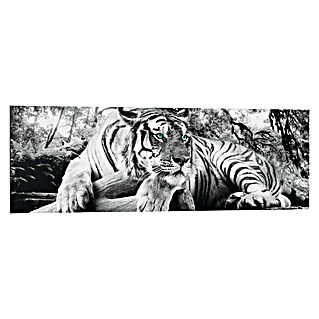 Decoratief paneel (Tiger is Watching You, b x h: 90 x 30 cm)