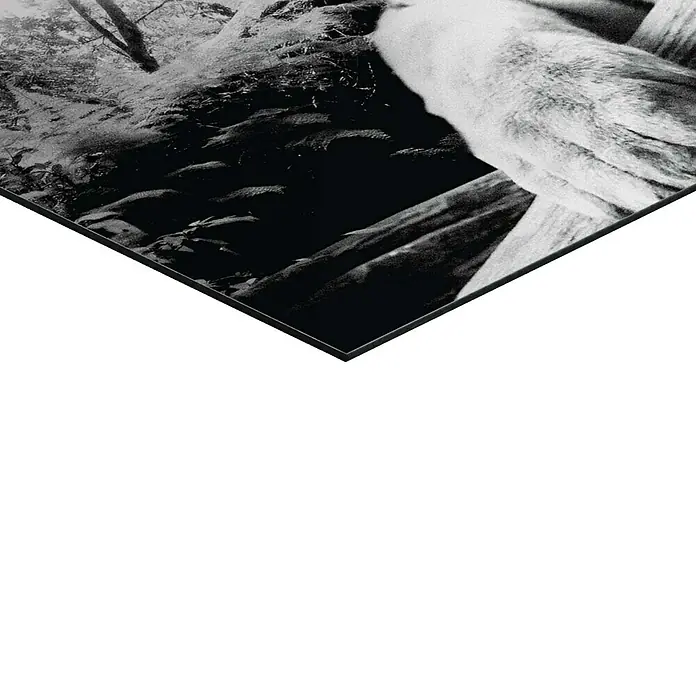 Reinders Decopanel - Tiger is Watching You, B x H: 90 x 30 cm - Schwarz-Weiß-Fotodruck, der eine natürliche Landschaft zeigt, gerahmt mit schlankem, schwarzem Rand und minimalistischem Design.