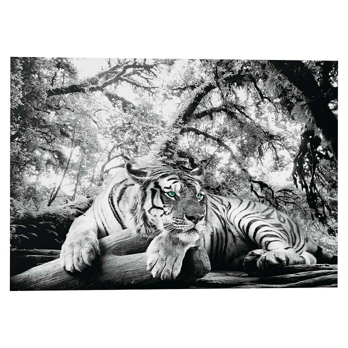 Decoratief paneel (Tiger is Watching You, b x h: 140 x 100 cm) | BAUHAUS