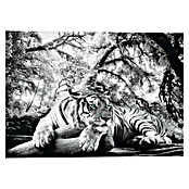 Decoratief paneel (Tiger is Watching You, b x h: 140 x 100 cm) | BAUHAUS