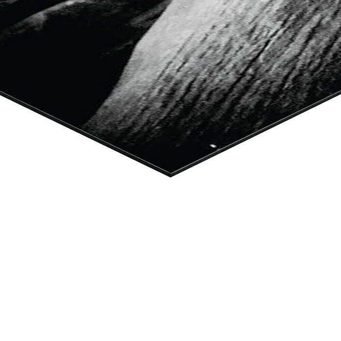 Decoratief paneel (Tiger is Watching You, b x h: 140 x 100 cm) | BAUHAUS