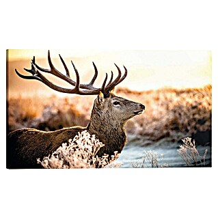 Reinders Holzbild Deco Block (Deer in Forest, B x H: 118 x 70 cm)