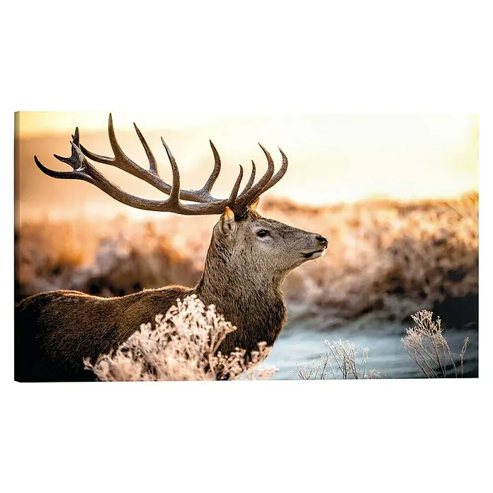 Reinders Holzbild Deco Block - Deer in Forest, B x H: 118 x 70 cm - Majestätischer Hirsch in natürlicher Umgebung. Detailreiche Aufnahme mit beeindruckendem Geweih und warmem Licht.