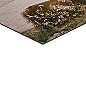 Decoratief paneel (Pack of Deer, b x h: 156 x 52 cm) | BAUHAUS