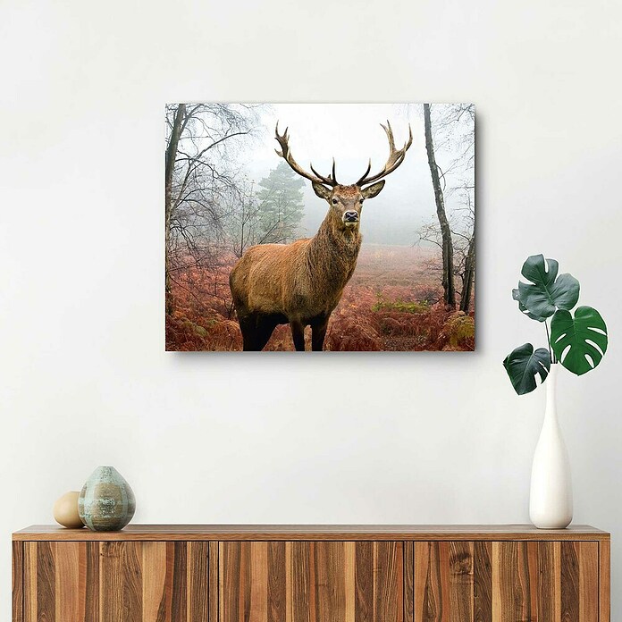 Decoratief paneel (Hert, b x h: 50 x 40 cm) | BAUHAUS