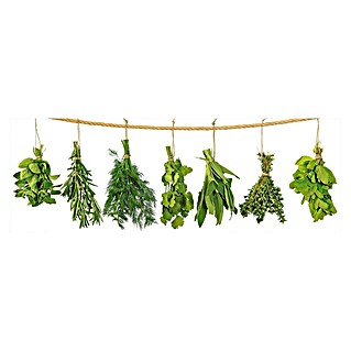 Foto op glas (Herbs on White, b x h: 95 x 33 cm)