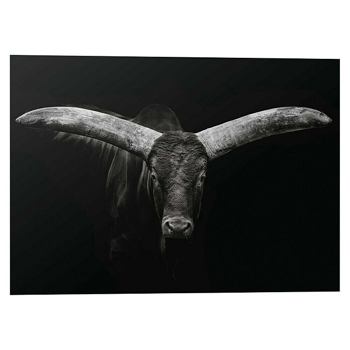 Canvasschilderij Alu Fine Art (Ox, b x h: 140 x 100 cm) | BAUHAUS