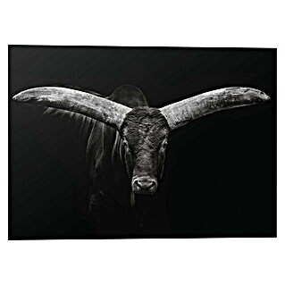 Canvasschilderij Alu Fine Art (Ox, b x h: 140 x 100 cm)